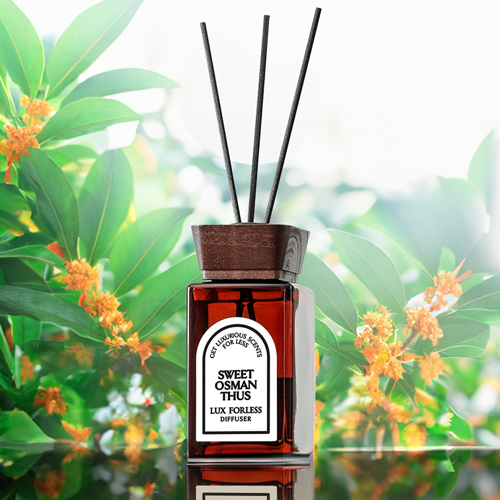 상품 섬네일 상품 섬네일